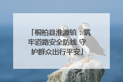 桐柏县淮源镇：筑牢道路安全防线 守护群众出行平安