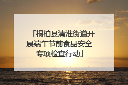 桐柏县清淮街道开展端午节前食品安全专项检查行动