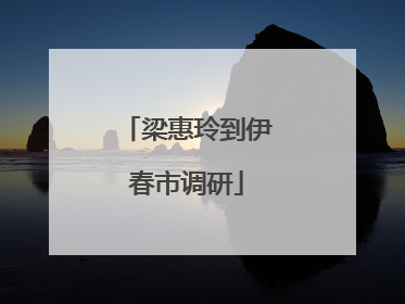 梁惠玲到伊春市调研