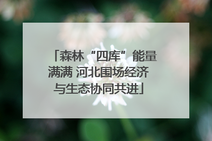 森林“四库”能量满满 河北围场经济与生态协同共进