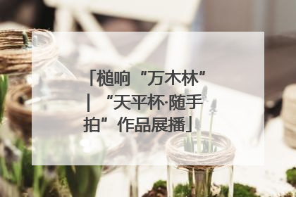 槌响“万木林”｜“天平杯·随手拍”作品展播