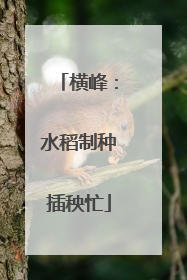 横峰：水稻制种插秧忙
