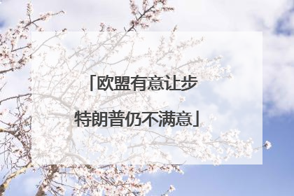 欧盟有意让步 特朗普仍不满意