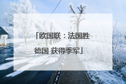 欧国联：法国胜德国 获得季军