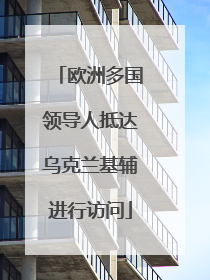 欧洲多国领导人抵达乌克兰基辅进行访问