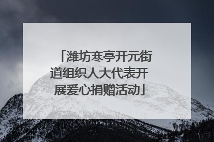 潍坊寒亭开元街道组织人大代表开展爱心捐赠活动