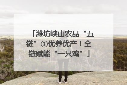 潍坊峡山农品“五链”③优养优产！全链赋能“一只鸡”