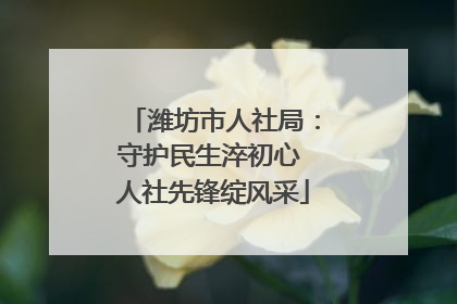潍坊市人社局：守护民生淬初心 人社先锋绽风采