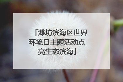潍坊滨海区世界环境日主题活动点亮生态滨海