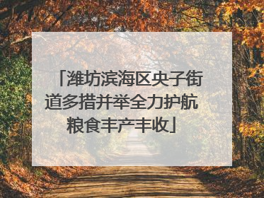 潍坊滨海区央子街道多措并举全力护航粮食丰产丰收