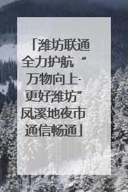 潍坊联通全力护航“万物向上·更好潍坊”凤溪地夜市通信畅通