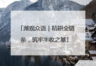 潍观众语｜精耕全链条，筑牢丰收之基