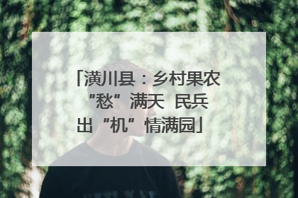 潢川县：乡村果农“愁”满天  民兵出“机”情满园