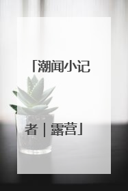 潮闻小记者｜露营