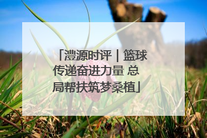 澧源时评｜篮球传递奋进力量 总局帮扶筑梦桑植