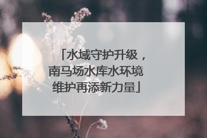 水域守护升级，南马场水库水环境维护再添新力量