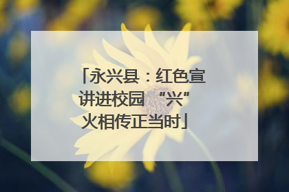 永兴县：红色宣讲进校园 “兴”火相传正当时