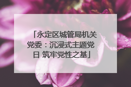 永定区城管局机关党委：沉浸式主题党日 筑牢党性之基