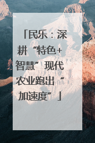 民乐：深耕“特色+智慧”现代农业跑出“加速度”