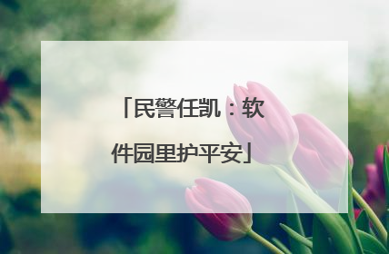 民警任凯：软件园里护平安