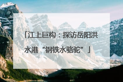 江上巨构：探访岳阳洪水港“钢铁水骆驼”