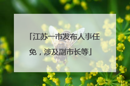 江苏一市发布人事任免，涉及副市长等