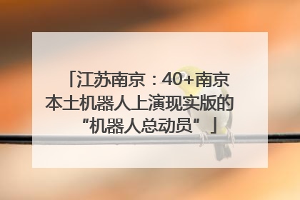 江苏南京：40+南京本土机器人上演现实版的“机器人总动员”