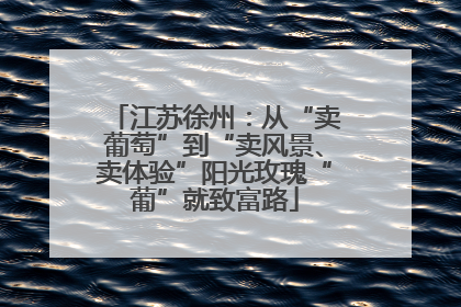 江苏徐州：从“卖葡萄”到“卖风景、卖体验”阳光玫瑰“葡”就致富路