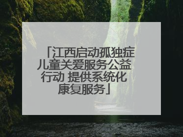 江西启动孤独症儿童关爱服务公益行动 提供系统化康复服务