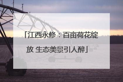 江西永修：百亩荷花绽放 生态美景引人醉
