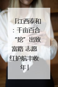 江西泰和：千亩百合“挖”出致富路 志愿红护航丰收年