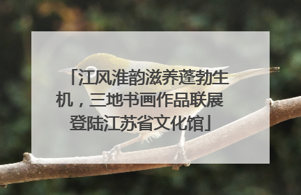 江风淮韵滋养蓬勃生机，三地书画作品联展登陆江苏省文化馆