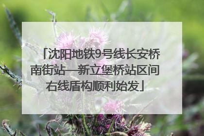 沈阳地铁9号线长安桥南街站—新立堡桥站区间右线盾构顺利始发