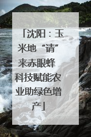 沈阳：玉米地“请”来赤眼蜂 科技赋能农业助绿色增产