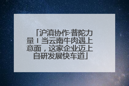 沪滇协作·普陀力量〡当云南牛肉遇上意面，这家企业迈上自研发展快车道