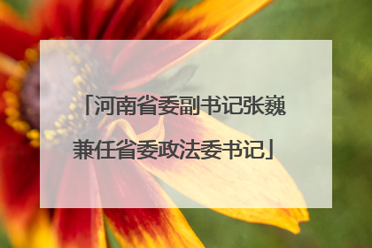河南省委副书记张巍兼任省委政法委书记