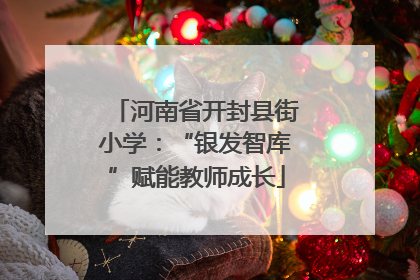 河南省开封县街小学：“银发智库”赋能教师成长