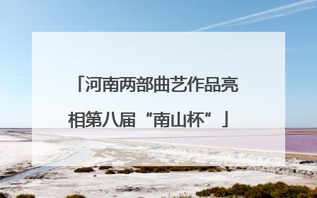 河南两部曲艺作品亮相第八届“南山杯”