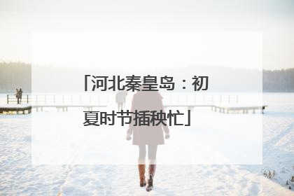 河北秦皇岛：初夏时节插秧忙