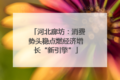 河北廊坊：消费势头稳点燃经济增长“新引擎”
