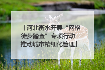 河北衡水开展“网格徒步踏查”专项行动 推动城市精细化管理