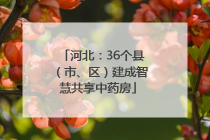河北：36个县（市、区）建成智慧共享中药房