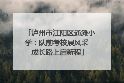 泸州市江阳区通滩小学：队前考核展风采 成长路上启新程