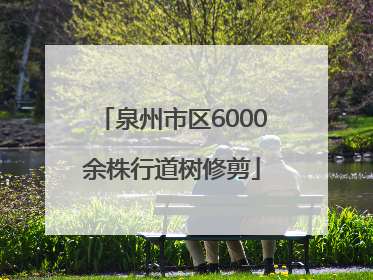 泉州市区6000余株行道树修剪