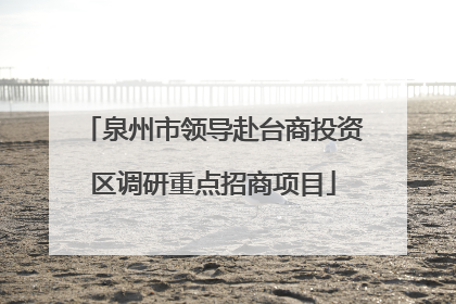 泉州市领导赴台商投资区调研重点招商项目