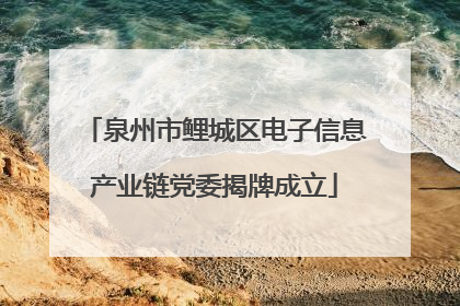 泉州市鲤城区电子信息产业链党委揭牌成立