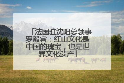 法国驻沈阳总领事罗毅睿：红山文化是中国的瑰宝，也是世界文化遗产