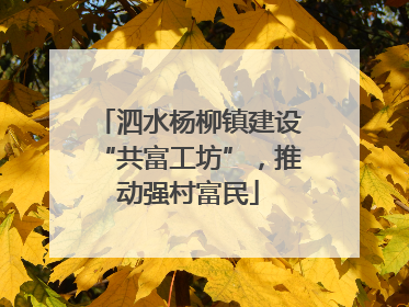 泗水杨柳镇建设“共富工坊”，推动强村富民