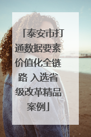泰安市打通数据要素价值化全链路 入选省级改革精品案例