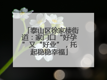 泰山区徐家楼街道：家门口“好孕”又“好业”，托起稳稳幸福